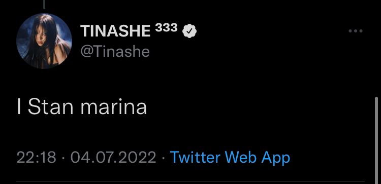 Tinashe supporting Marina's art